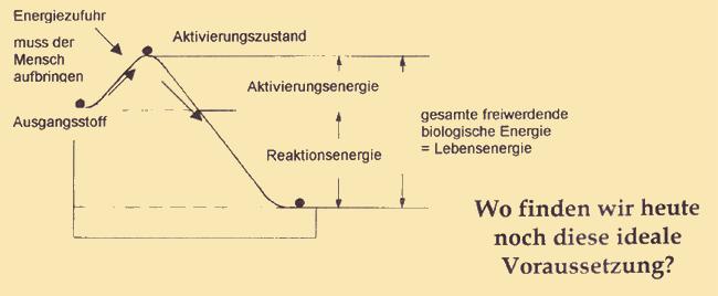 Energiezufuhr 1+++ Kopie02