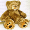 Grizzly-B�r