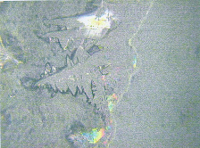 Wasser102