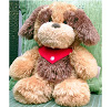 Wuschelhund02