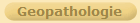Geopathologie