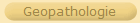 Geopathologie