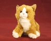 katze