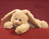 kuschel_neu_hase